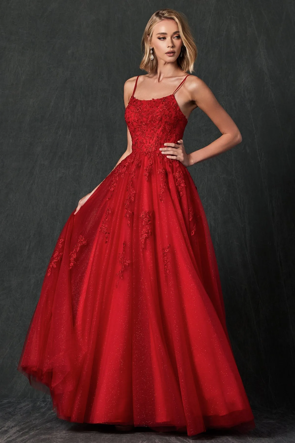 Floral Applique Corset Tulle Gown by Juliet 260