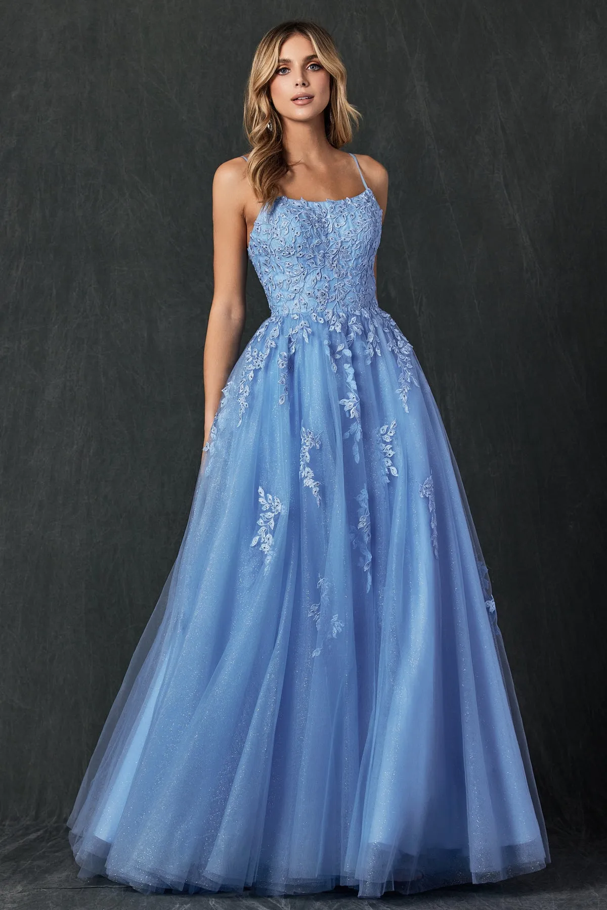 Floral Applique Corset Tulle Gown by Juliet 260